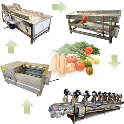 2023年 多目的野菜・果物清掃機 500kg/h 容量