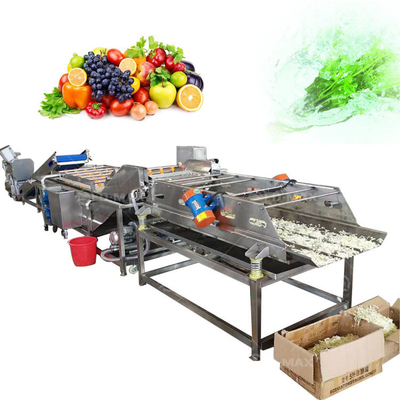 工業用野菜清掃と乾燥加工ライン
