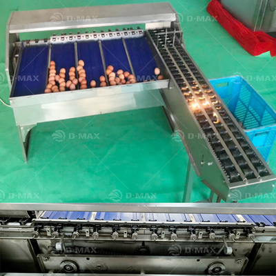 卵の重量分類機 精度の高い卵の分類のための最高の自動卵分類機