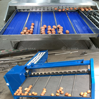 高生産性 鶏場用卵重量分類機 改良された卵加工