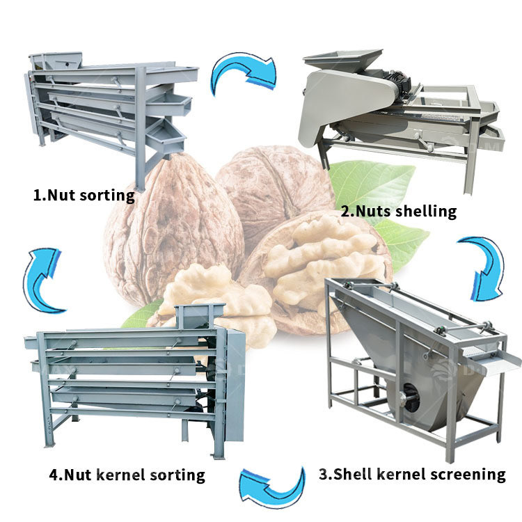 環境に優しいバナナとマカダミアナッツのクラッキングマシン